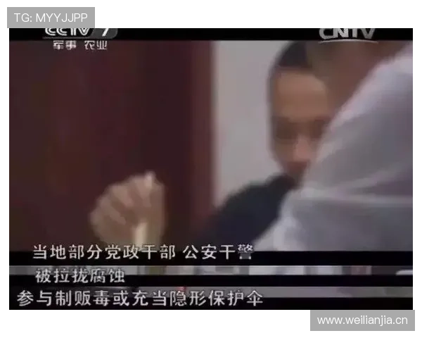 深入解读假摔判罚的官方标准与执行尺度